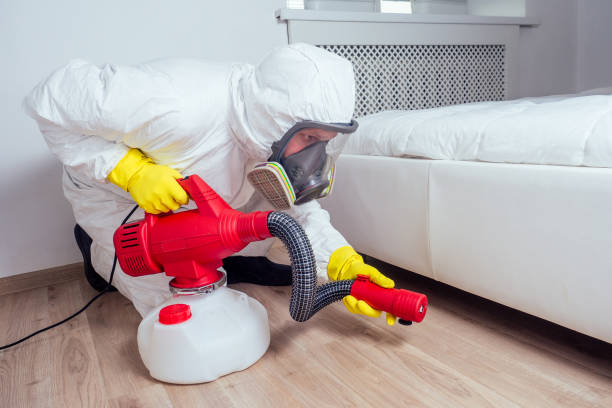 Best Real Estate Pest Inspections  in Winslow, AZ